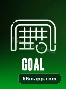 66m